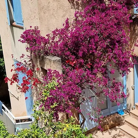 : 2 Pieces, Jardin Prive, Proche Et Port, Wifi, Parking - Fr-1-335-161 Apartment *